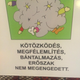 Illustration for article titled Jó, hogy nem játszókocsmát nyitottak gyerekeknek